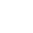 team-custom-icon-2 a